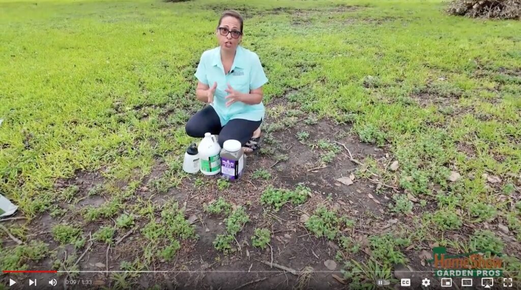 Lawn Remediation After Storm